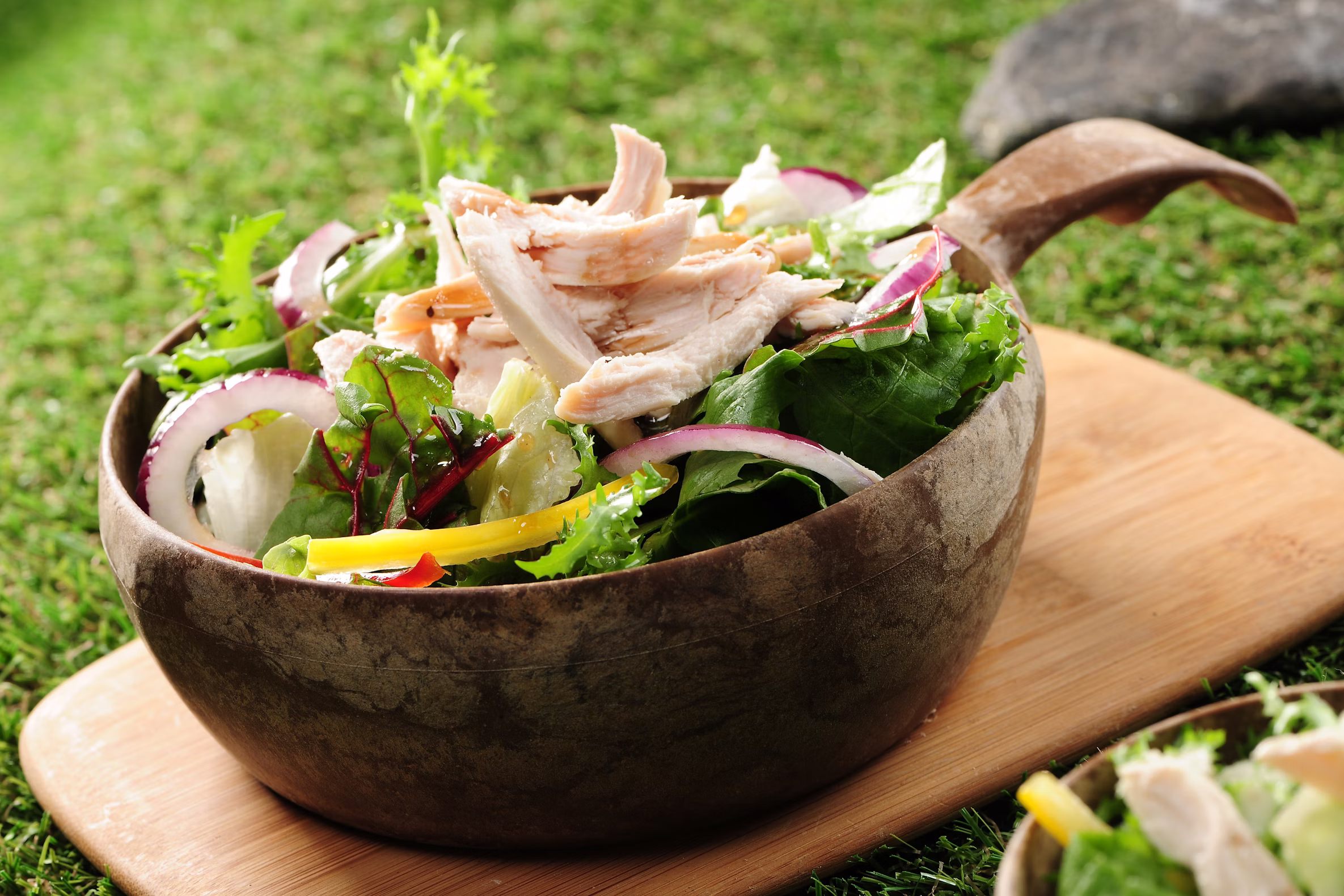 Greek Yogurt Chicken Salad